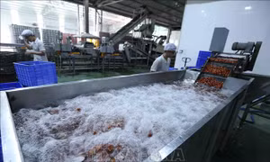 Lưu ý cần thiết cho doanh nghiệp xuất khẩu thực phẩm vào Nhật Bản
