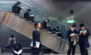 Nhật Bản: Hỗ trợ doanh nghiệp tuyển dụng sinh viên nước ngoài