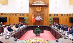 Phó Thủ tướng Bùi Thanh Sơn tiếp Phó Tỉnh trưởng tỉnh Quảng Đông