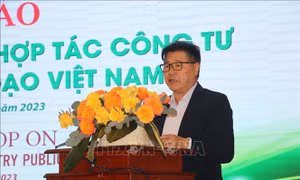 Tầm nhìn và đối thoại PPP ngành hàng lúa gạo Việt Nam