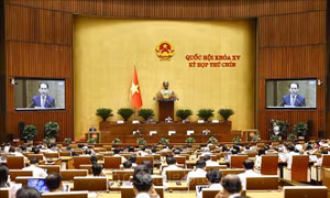Kỳ họp thứ 9, Quốc hội khóa XV: Đề xuất bỏ hình phạt tử hình với 8 tội danh