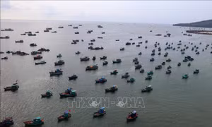 Chuyên gia Nga đề cao chính sách của Việt Nam nỗ lực tạo dựng môi trường hòa bình, ổn định