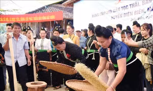 Phục dựng Lễ hội mừng cơm mới dân tộc Thái bản U Va