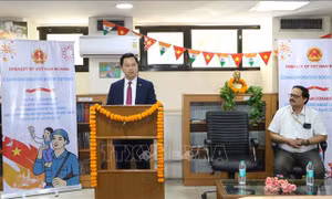 50 năm Thống nhất đất nước: Quảng bá hình ảnh đất nước qua những trang sách hào hùng