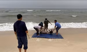 Tìm thấy thi thể du khách mất tích khi đi tắm biển Nhật Lệ