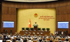 Quốc hội thông qua 3 luật và thảo luận về dự án Bộ luật Hình sự (sửa đổi)