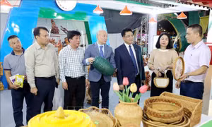 Xúc tiến thương mại, kết nối cung cầu vùng đồng bằng Bắc Bộ