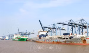 Hoa Kỳ áp thuế bổ sung: Cấp thiết tái cấu trúc chuỗi cung ứng và thị trường ngành hàng chủ lực