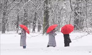 Bão càn quét châu Âu, nhiều nước thiệt hại nghiêm trọng
