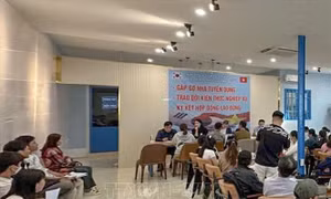 Phạt 4 người Hàn Quốc đến Cần Thơ tuyển lao động trái phép