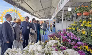 20.000 lượt khách chiêm ngưỡng vườn hoa Đà Lạt dịp Festival