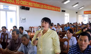 Cử tri Vĩnh Long mong sớm ổn định thị trường xăng dầu, vật tư nông nghiệp