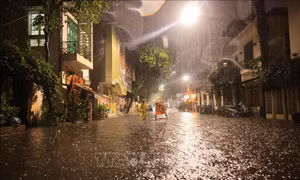 Hà Nội: Chủ động ứng phó với thiên tai, diễn biến thời tiết cực đoan