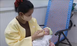 Bộ Y tế đưa AI và nền tảng số vào truyền thông dân số