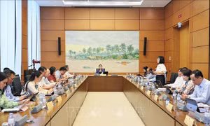 Cắt giảm thủ tục nhưng không cắt giảm trách nhiệm quản lý