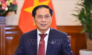 Chặng đường 80 năm vẻ vang của nền ngoại giao Việt Nam vì sự nghiệp đấu tranh, bảo vệ và xây dựng đất nước
