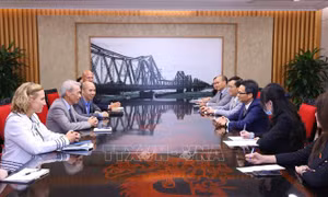 Phó Thủ tướng Vũ Đức Đam tiếp Trợ lý cấp cao của Chủ tịch Thượng viện Hoa Kỳ