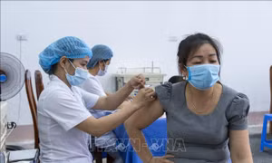 Triển khai hiệu quả công tác tiêm vaccine phòng COVID-19