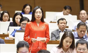 Cần có cơ chế kiểm soát trước khi livestream bán hàng