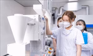 Sinh viên phát triển sản phẩm mới từ hạt gạo