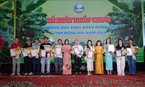 Đồng Nai xuất khẩu 220 tấn chuối ra các thị trường quốc tế