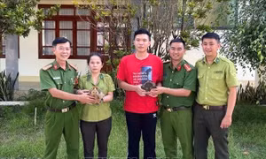 Quảng Ngãi: Tiếp nhận 2 cá thể rùa quý hiếm từ người dân