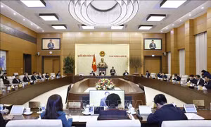 Bổ sung 6 dự án luật vào Chương trình xây dựng luật, pháp lệnh năm 2025