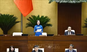 Dự thảo Luật Khoa học, Công nghệ và Đổi mới sáng tạo: Bước chuyển lớn cho hành trình nghiên cứu khoa học