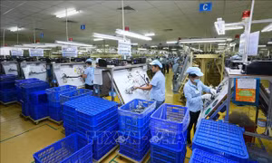 Doanh nghiệp Áo kỳ vọng những cơ hội lớn từ thị trường Việt Nam