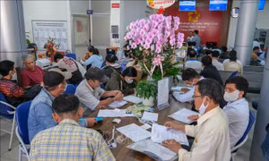 Người dân Cần Thơ đổi giấy phép lái xe đông gấp đôi ngày thường
