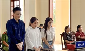 Phạt tù hai cựu nhân viên bệnh viện Cần Thơ tham ô tài sản liên quan Công ty Việt Á
