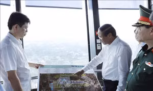 Đẩy nhanh tiến độ đầu tư, khai thác hàng không dân dụng tại một số cảng hàng không