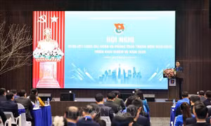 Đoàn Thanh niên Chính phủ đẩy mạnh chuyển đổi số, phát huy vai trò sáng tạo 