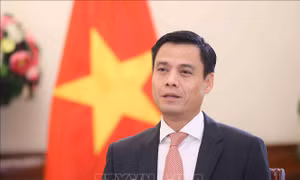 Việt Nam - Canada tăng cường hợp tác trong các lĩnh vực ưu tiên của hai bên
