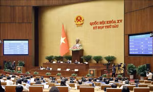 Quốc hội thông qua Luật Lực lượng tham gia bảo vệ an ninh, trật tự ở cơ sở