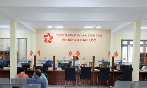 Lâm Đồng xử lý dứt điểm hồ sơ năm 2025 bị tồn đọng trên hệ thống thủ tục hành chính