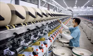 Kỳ vọng sự cộng hưởng từ các quyết sách đột phá