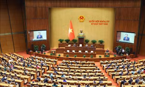 Thủ tướng: Triển khai thực hiện Nghị quyết tại Kỳ họp thứ 8, Quốc hội khóa XV