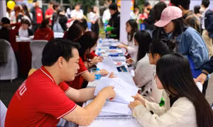 Nhiều trường đại học xét tuyển bằng chứng chỉ SAT, ACT