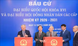 Các khu vực bầu cử phường Phúc Lợi (Hà Nội) diễn ra an toàn, nghiêm túc