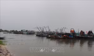 Quảng Ninh: Chủ động ứng phó trước diễn biến phức tạp của bão số 2