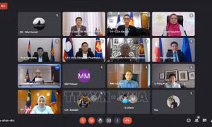 Việt Nam chủ trì phiên họp Nhóm đặc trách Sáng kiến liên kết ASEAN