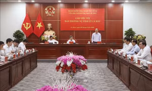 Cà Mau cần bứt phá tăng trưởng hai con số từ kinh tế biển và năng lượng