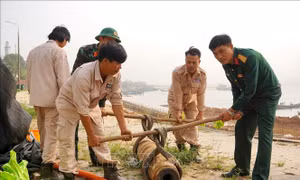 Xử lý thành công quả bom nặng khoảng 230 kg sát bờ kè sông Nhật Lệ