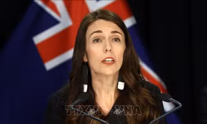 Đại sứ New Zealand: Cơ hội quan trọng vun đắp quan hệ Đối tác chiến lược Việt Nam - New Zealand
