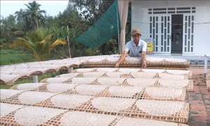 Làng nghề bánh tráng Cù lao Mây hối hả vụ Tết