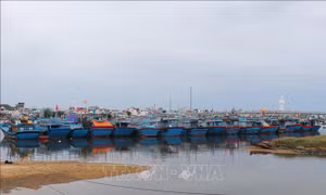 Chủ động ứng phó với áp thấp nhiệt đới mạnh lên thành bão và mưa lũ