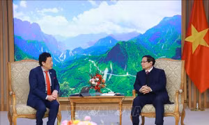 Thủ tướng Phạm Minh Chính tiếp Tổng Giám đốc FAO