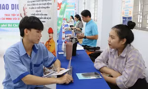 Kế hoạch triển khai thi hành Luật Việc làm