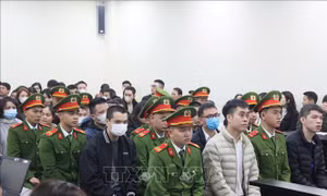 Vụ sữa giả tại Z Holding: Phân biệt giữa hàng giả và hàng kém chất lượng